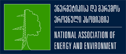 national association of energy and environment